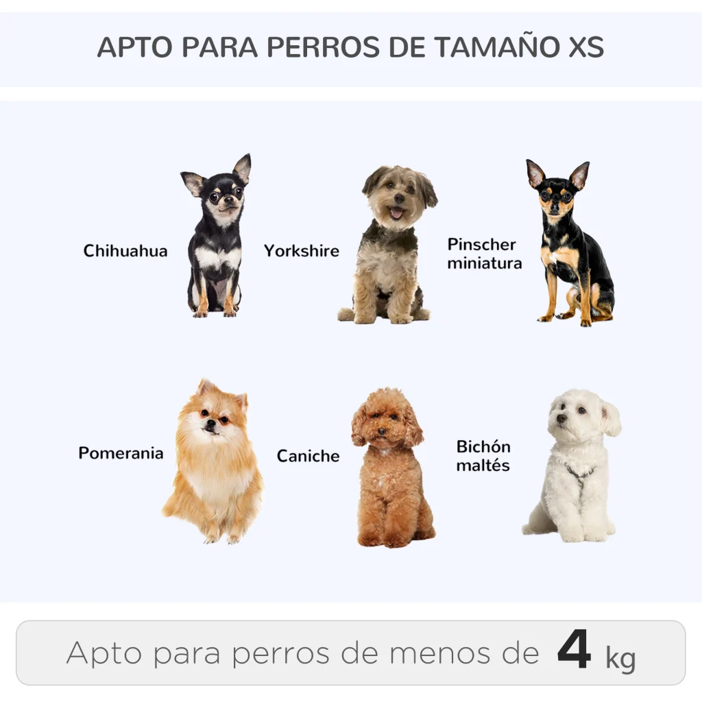 Miniatura 10