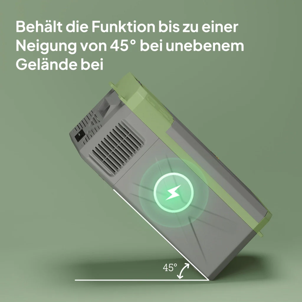 Miniatura 9