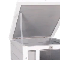 Miniatura 9