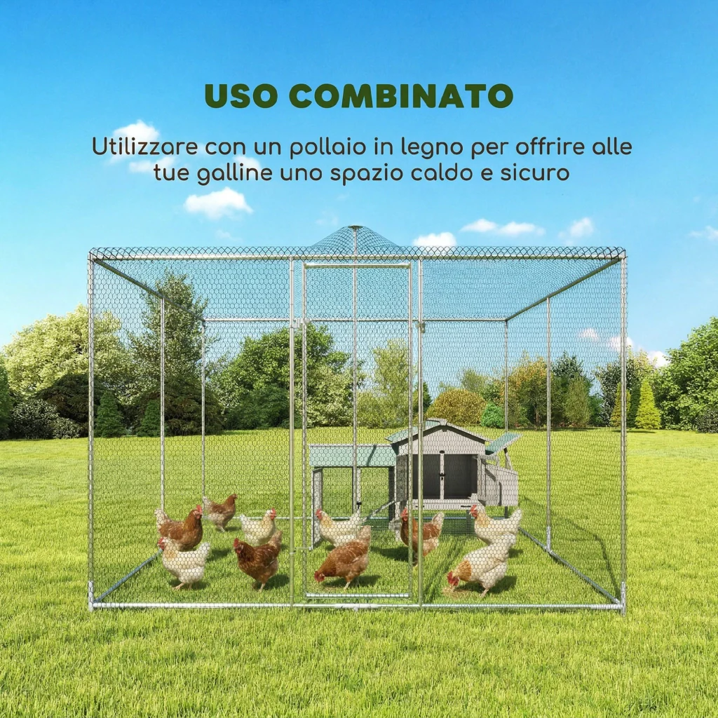 Miniatura 10